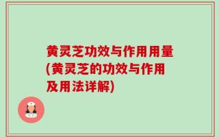 黄灵芝功效与作用用量(黄灵芝的功效与作用及用法详解)