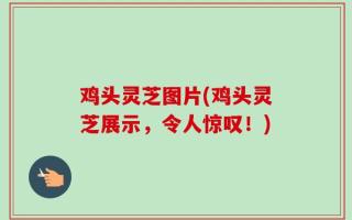 鸡头灵芝图片(鸡头灵芝展示，令人惊叹！)