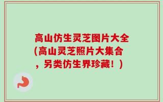 高山仿生灵芝图片大全(高山灵芝照片大集合，另类仿生界珍藏！)