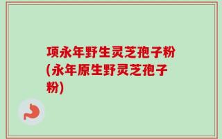 项永年野生灵芝孢子粉(永年原生野灵芝孢子粉)
