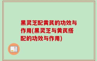 黑灵芝配黄芪的功效与作用(黑灵芝与黄芪搭配的功效与作用)