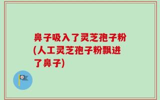 鼻子吸入了灵芝孢子粉(人工灵芝孢子粉飘进了鼻子)