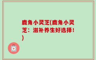 鹿角小灵芝(鹿角小灵芝：滋补养生好选择！)