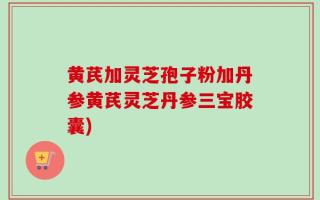 黄芪加灵芝孢子粉加丹参黄芪灵芝丹参三宝胶囊)