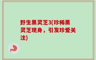 野生黑灵芝3(珍稀黑灵芝现身，引发珍爱关注)