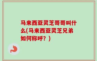 马来西亚灵芝哥哥叫什么(马来西亚灵芝兄弟如何称呼？)