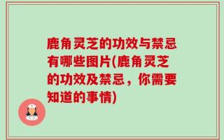 鹿角灵芝的功效与禁忌有哪些图片(鹿角灵芝的功效及禁忌，你需要知道的事情)