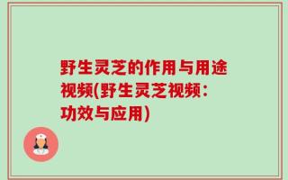 野生灵芝的作用与用途视频(野生灵芝视频：功效与应用)