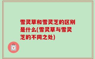 雪灵草和雪灵芝的区别是什么(雪灵草与雪灵芝的不同之处)