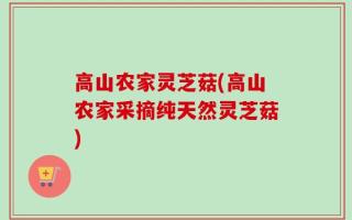 高山农家灵芝菇(高山农家采摘纯天然灵芝菇)