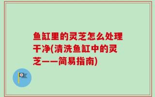 鱼缸里的灵芝怎么处理干净(清洗鱼缸中的灵芝——简易指南)
