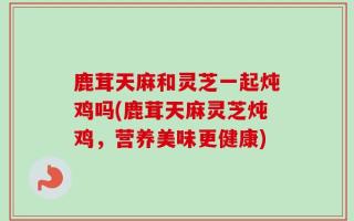 鹿茸天麻和灵芝一起炖鸡吗(鹿茸天麻灵芝炖鸡，营养美味更健康)