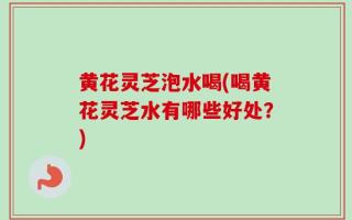 黄花灵芝泡水喝(喝黄花灵芝水有哪些好处？)