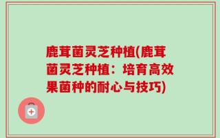 鹿茸菌灵芝种植(鹿茸菌灵芝种植：培育高效果菌种的耐心与技巧)