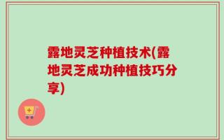 露地灵芝种植技术(露地灵芝成功种植技巧分享)