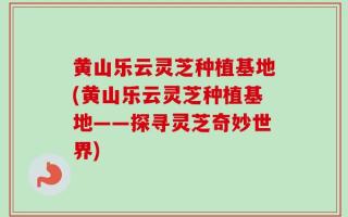 黄山乐云灵芝种植基地(黄山乐云灵芝种植基地——探寻灵芝奇妙世界)