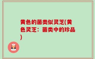 黄色的菌类似灵芝(黄色灵芝：菌类中的珍品)