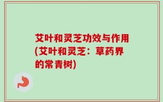 艾叶和灵芝功效与作用(艾叶和灵芝：草药界的常青树)
