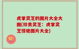 虎掌灵芝的图片大全大图(珍贵灵芝：虎掌灵芝惊艳图片大全)
