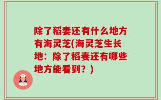 除了稻妻还有什么地方有海灵芝(海灵芝生长地：除了稻妻还有哪些地方能看到？)