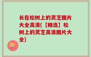 长在松树上的灵芝图片大全高清(【精选】松树上的灵芝高清图片大全)