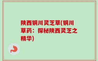 陕西铜川灵芝草(铜川草药：探秘陕西灵芝之精华)