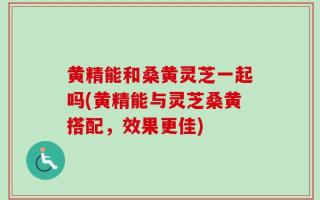 黄精能和桑黄灵芝一起吗(黄精能与灵芝桑黄搭配，效果更佳)