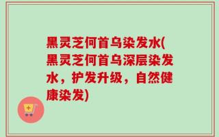 黑灵芝何首乌染发水(黑灵芝何首乌深层染发水，护发升级，自然健康染发)