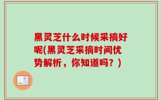 黑灵芝什么时候采摘好呢(黑灵芝采摘时间优势解析，你知道吗？)