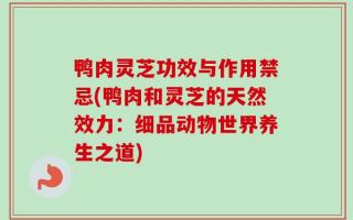 鸭肉灵芝功效与作用禁忌(鸭肉和灵芝的天然效力：细品动物世界养生之道)