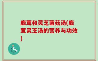 鹿茸和灵芝菌菇汤(鹿茸灵芝汤的营养与功效)
