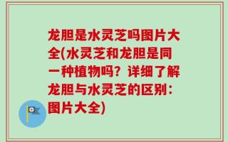 龙胆是水灵芝吗图片大全(水灵芝和龙胆是同一种植物吗？详细了解龙胆与水灵芝的区别：图片大全)