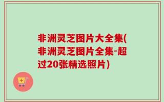 非洲灵芝图片大全集(非洲灵芝图片全集-超过20张精选照片)