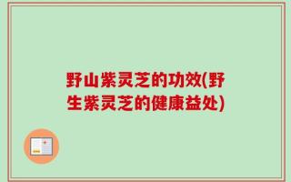 野山紫灵芝的功效(野生紫灵芝的健康益处)