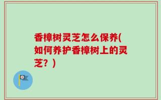 香樟树灵芝怎么保养(如何养护香樟树上的灵芝？)