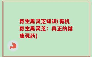 野生黑灵芝知识(有机野生黑灵芝：真正的健康灵药)