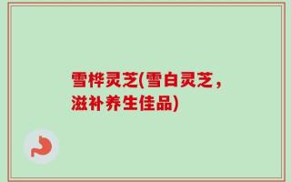 雪桦灵芝(雪白灵芝，滋补养生佳品)