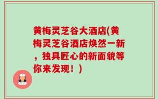 黄梅灵芝谷大酒店(黄梅灵芝谷酒店焕然一新，独具匠心的新面貌等你来发现！)