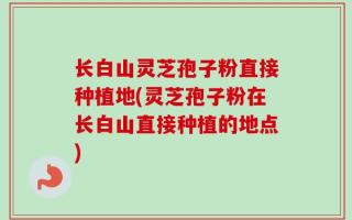 长白山灵芝孢子粉直接种植地(灵芝孢子粉在长白山直接种植的地点)