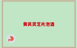 黄芪灵芝片泡酒