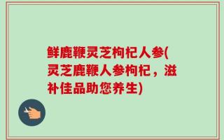 鲜鹿鞭灵芝枸杞人参(灵芝鹿鞭人参枸杞，滋补佳品助您养生)