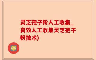 灵芝孢子粉人工收集_高效人工收集灵芝孢子粉技术)