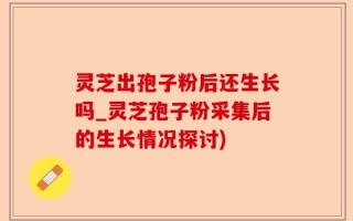 灵芝出孢子粉后还生长吗_灵芝孢子粉采集后的生长情况探讨)