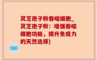 灵芝孢子粉吞噬细胞_灵芝孢子粉：增强吞噬细胞功能，提升免疫力的天然选择)