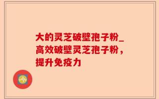 大的灵芝破壁孢子粉_高效破壁灵芝孢子粉，提升免疫力