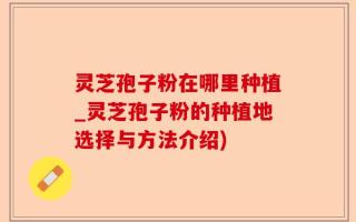 灵芝孢子粉在哪里种植_灵芝孢子粉的种植地选择与方法介绍)
