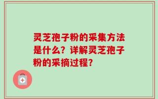 灵芝孢子粉的采集方法是什么？详解灵芝孢子粉的采摘过程？