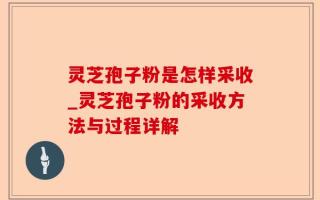 灵芝孢子粉是怎样采收_灵芝孢子粉的采收方法与过程详解