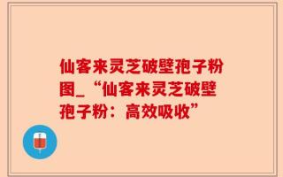 仙客来灵芝破壁孢子粉图_“仙客来灵芝破壁孢子粉：高效吸收”