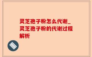 灵芝孢子粉怎么代谢_灵芝孢子粉的代谢过程解析